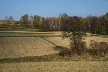 Autumn in farm fields in hilly terrain