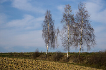 Autumn in farm fields in hilly terrain © Mariusz