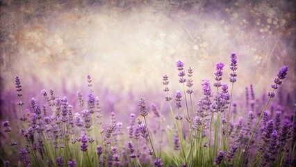 Naklejka premium Serene Lavender Field with Soft Vintage Texture, Ideal for Calming and Relaxing Designs