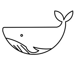 Vector of Whale