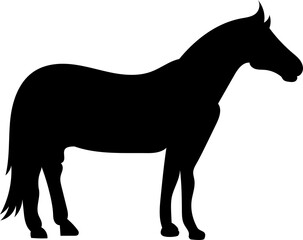 silhouette of a horse