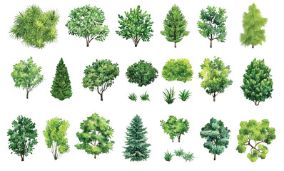 A set of vector outline trees designed for architectural drawings