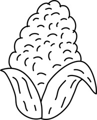  Corn sketch for coloring book illustration 