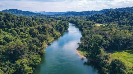 Serene Aerial View of a Lush River Surrounded by Vibrant Green Forests in the Heart of Nature, Showcasing Tranquility and Scenic Beauty of the Wilderness