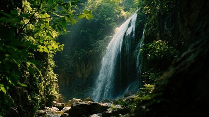 Waterfall in Lush Forest