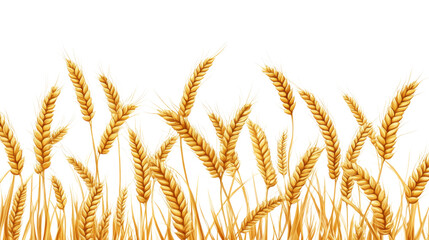 Wheat field transparent background