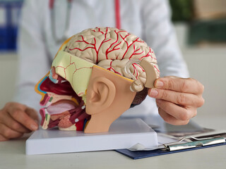 The hearing aid supports the brain