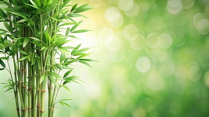 Lush Green Bamboo Shoots Against a Soft Bokeh Background, Ideal for Relaxation and Nature Themes