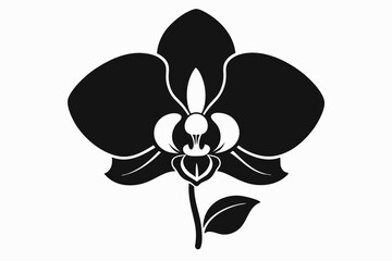 Orchid flower silhouette, Orchid flower vector icon isolated on white background.
