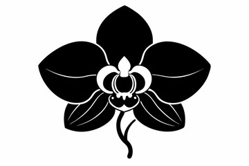 Orchid flower silhouette, Orchid flower vector icon isolated on white background.