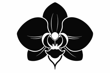 Orchid flower silhouette, Orchid flower vector icon isolated on white background.