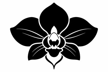 Orchid flower silhouette, Orchid flower vector icon isolated on white background.