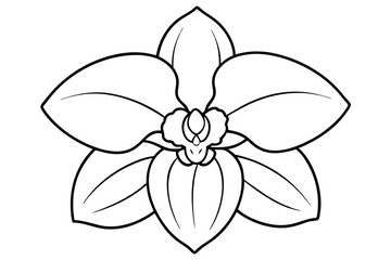 Orchid flower silhouette, Orchid flower vector icon isolated on white background.