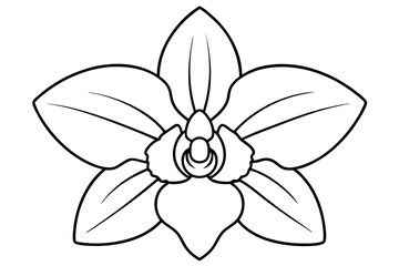 Orchid flower silhouette, Orchid flower vector icon isolated on white background.