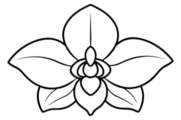 Orchid flower silhouette, Orchid flower vector icon isolated on white background.