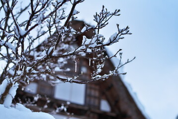 富山県南砺市相倉にある冬の相倉合掌造り集落