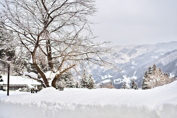 富山県南砺市相倉にある冬の相倉合掌造り集落
