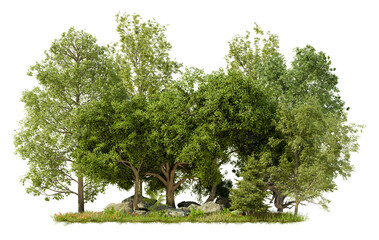 PNG tree group for fast drag and drop in main project, 3d illustration rendering