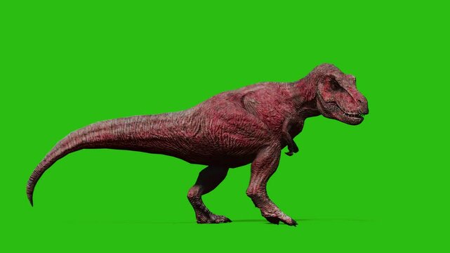 dinosaur green screen, dinosaur crying green screen, dinosaur raptor crying green screen chroma key