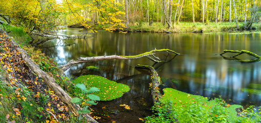 rzeka jesienią © Marek