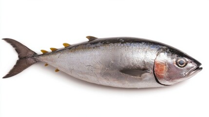 Fresh tuna fish preparation seafood market culinary art bright environment close-up oceanic flavor