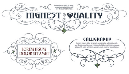 Vector set of calligraphic design elements and page decor.