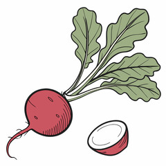 A vibrant beet with green leaves alongside a fresh slice of radish, showcasing their natural colors and textures.

