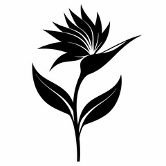 Bird Of Paradise Flower Silhouette Vector Illustration, black and white design on white background