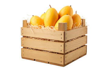 a large wooden crate of yellow ripe mangoes isolated on white