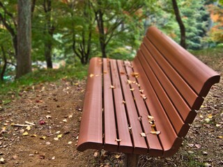 落葉が落ちている公園の長椅子