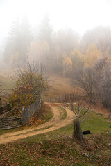 Autumn scenery in a foggy morning from Carpathian Mountains
