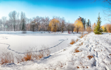 Breathtaking  landscape in city park with snowy trees and lots of snow