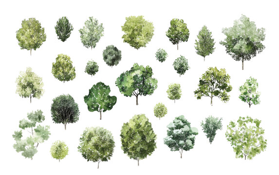 A collection of minimalist vector outline trees, ideal for architectural plans