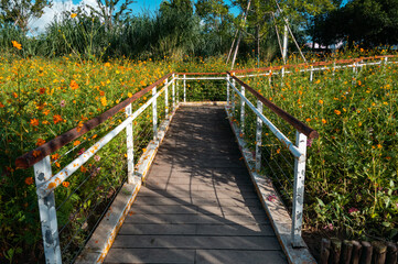 The fenced path in the garden.
