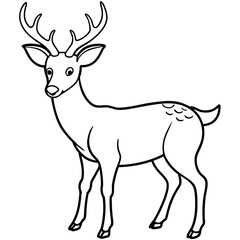 A Simple and Clean Deer Line Art Vector Illustration with Black and White