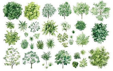 A collection of minimalist vector outline trees, ideal for architectural plans