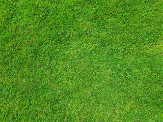 Top view of natural green grass, sports texture background concept, close up soccer field for...
