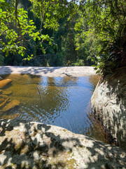 Fototapeta premium river in the forest