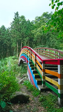 Nantou, Taiwan - 8.10.2018: A wooden bridge with rainbow paints span a stream in the Xitou Nature Education Area without visitors surrounded by trees and bushes under a cloudy sky