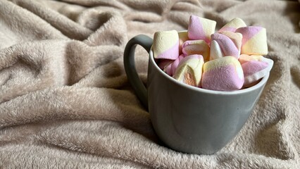 hot chocolate with marshmallows