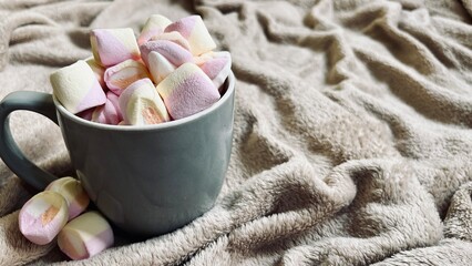 hot cocoa with marshmallows in a cup