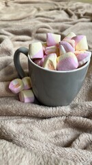 marshmallows in the cup. Vertical photo