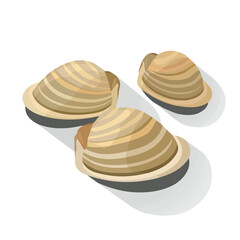 Simple flat 2D illustration of clams isolated on a white background, Ai design, flat 2D design