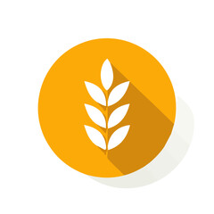 Simple flat 2D icon corn isolated on a transparent background, vector, animation design, vector, flat design, animation design, simple flat 2D icon, minimalist design