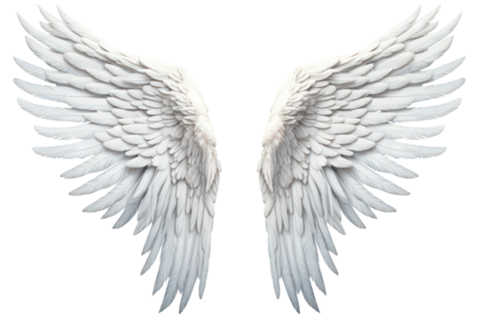 Symmetrical angel wings with a lifelike appearance, each feather meticulously detailed, isolated on white background