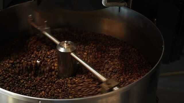 Batch of coffee beans is poured onto a sieve in a coffee drum machine. Process of roasting arabica beans in production