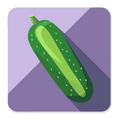 Simple flat 2D illustration of cucumber isolated on a white background, vector, flat design, 2d flat design