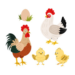 Rooster with hen and chickens. Poultry. Farm animals. Family. Set vector illustration of domestic birds.