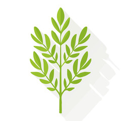 Simple flat 2D illustration of fennel fronds isolated on a white background, ai, flat 2d design,  ideal for animation, UI/UX design, mobile apps, web design, digital illustrations
