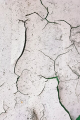 Obraz premium Peeling Paint On The Wooden Door Texture Background Image. Close-up, vertical photo.